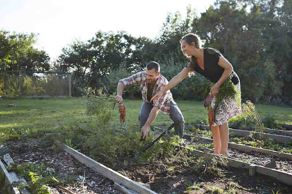 how to start a home garden