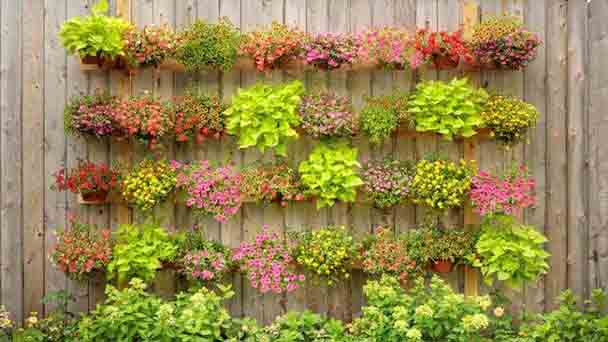 Tips for vertical vegetable garden