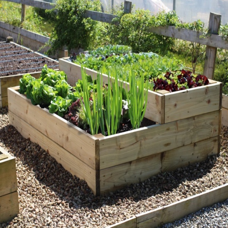 Raised Bed Vegetable Gardening For, Raised Bed Vegetable Gardening For Beginners