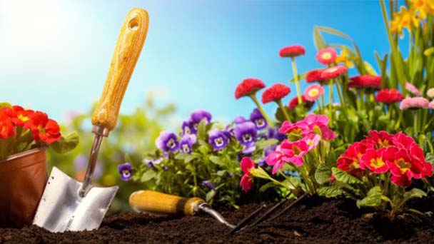 Preparar la siembra de primavera de la tierra de mi jardín.