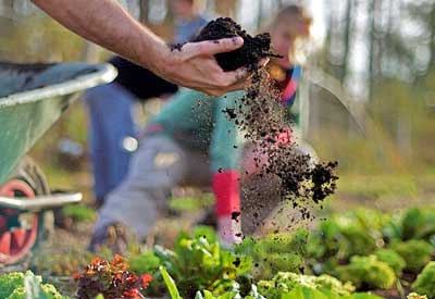 how to prepare garden soil for spring planting