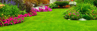 simple green lawn care