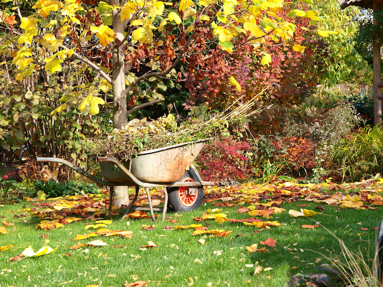 how to prepare your garden for winter