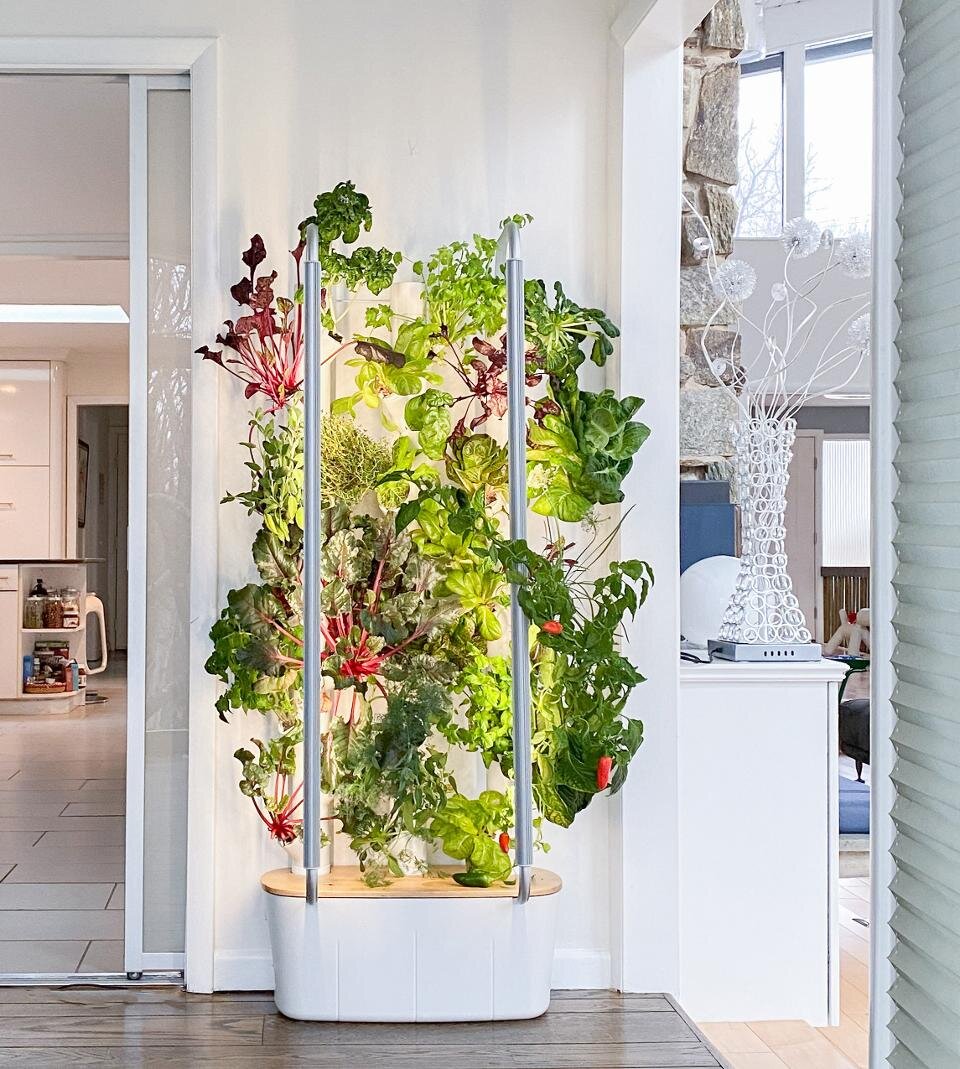 indoor hydroponic garden