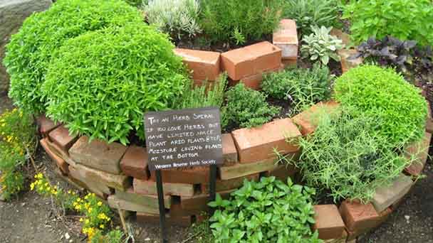Outdoor herb garden design