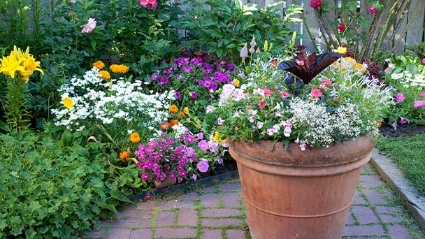 What is container gardening