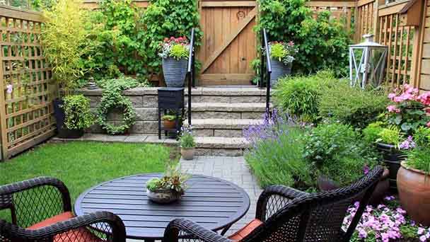 What to plant in a small garden