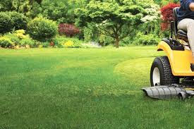 Spring lawn care steps