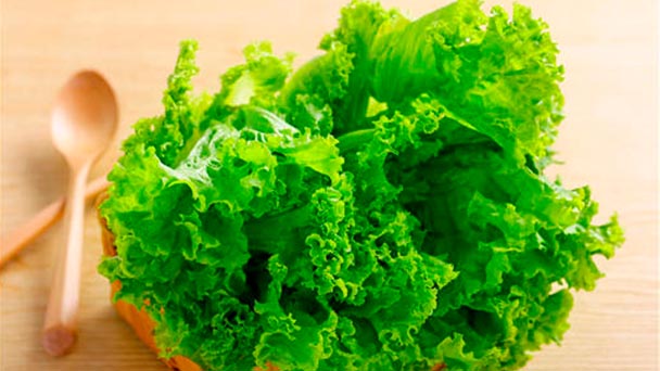 Tips for growing lettuce