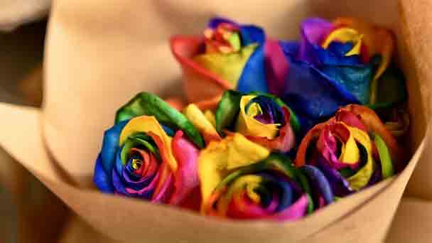 Rainbow roses Profile