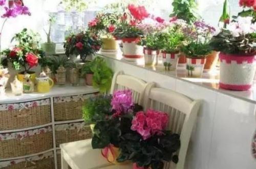 for raising flowers indoors