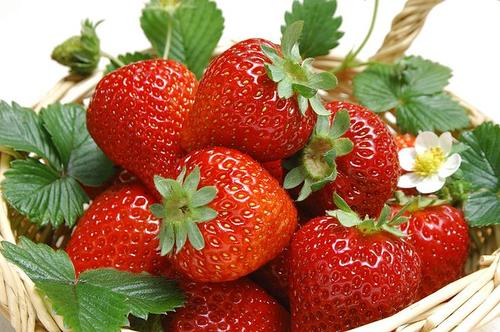 Pest control of strawberry
