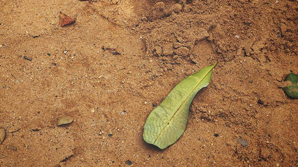 How does the harden garden soil loose