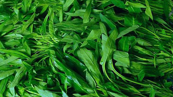 Water spinach profile