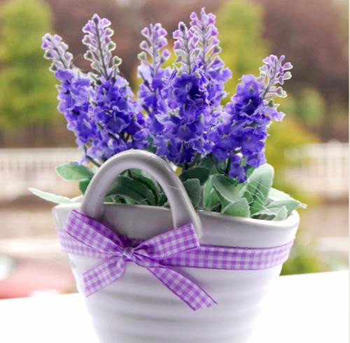 propagation methods of lavender.