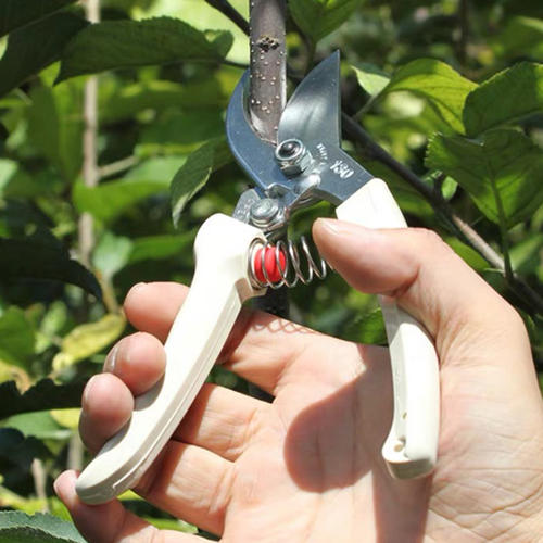 10 best mini garden tools