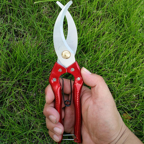 10 best mini garden tools