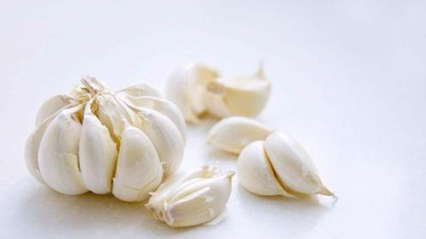 Garlic profile