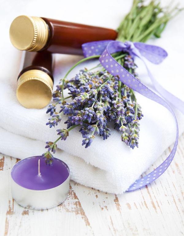 Growing Lavender Indoors Benefits