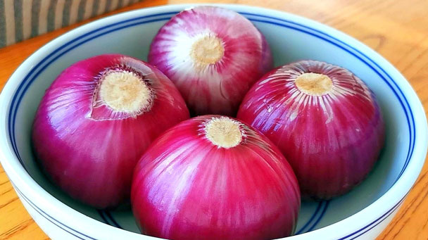 Onions (Allium Cepa) Profile