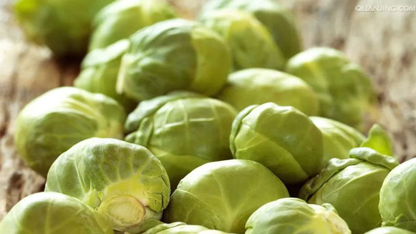 Brussels Sprouts: Grow & Care for Brassica Oleracea