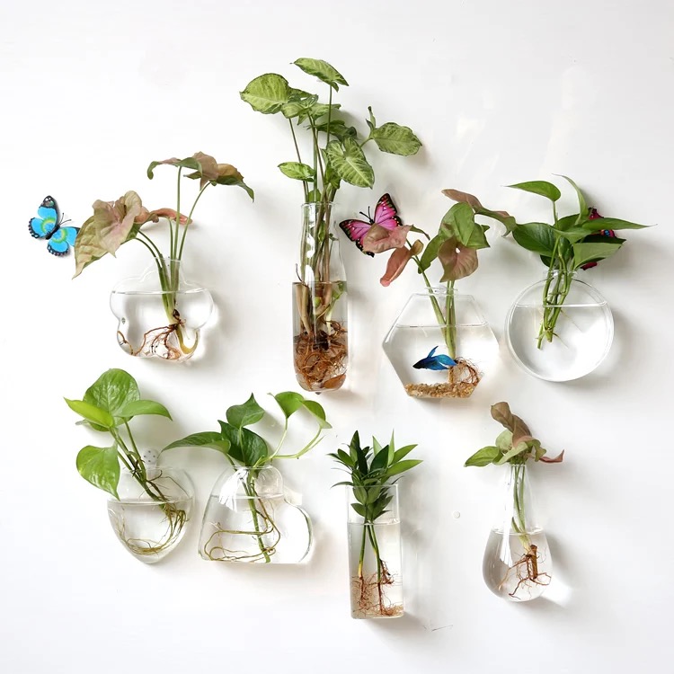 Plants that grow in water