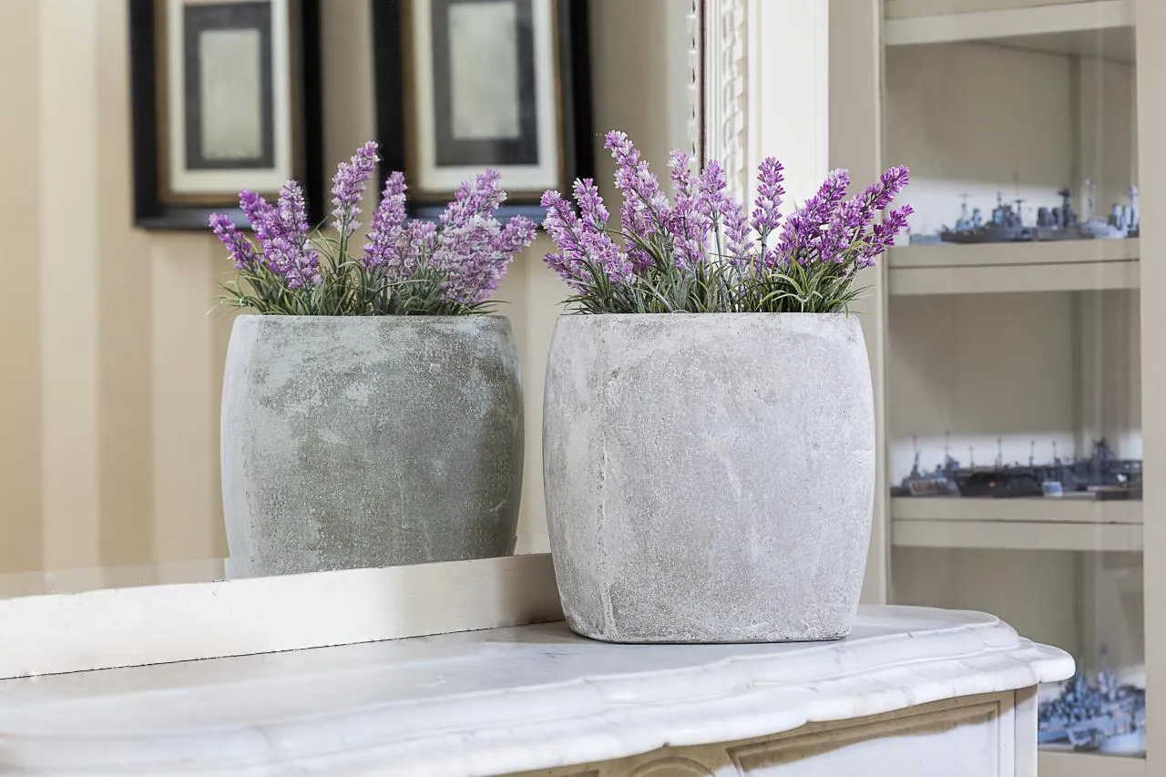 Tips for Growing Lavender in Pots - Lavender Indoors Care