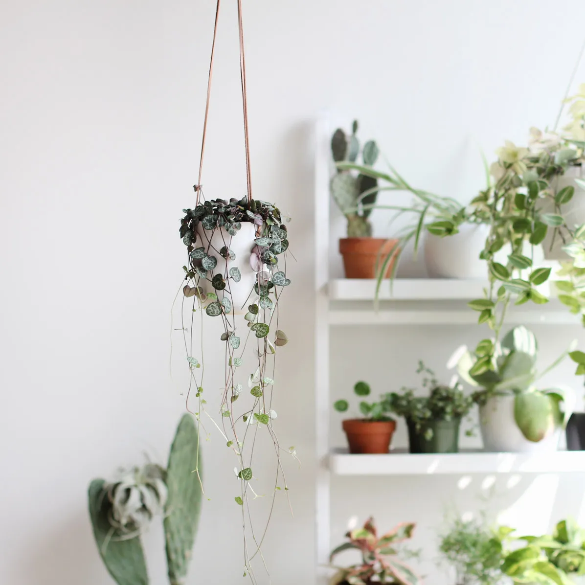 How to Propagate String of Hearts