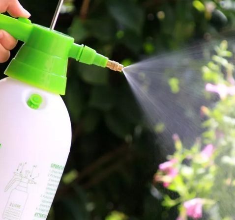 Spray water on leaves