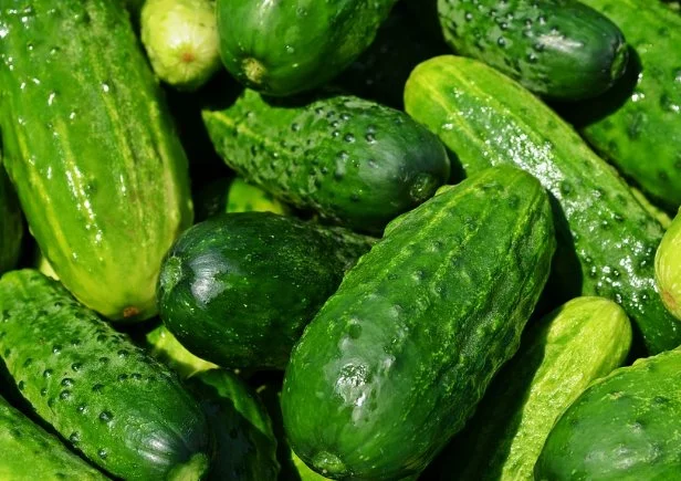 4. Cucumbers