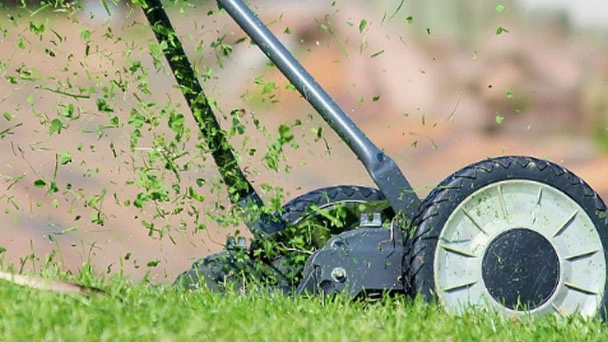 How Short To Cut Grass for Winter Care - Everything You Should Know