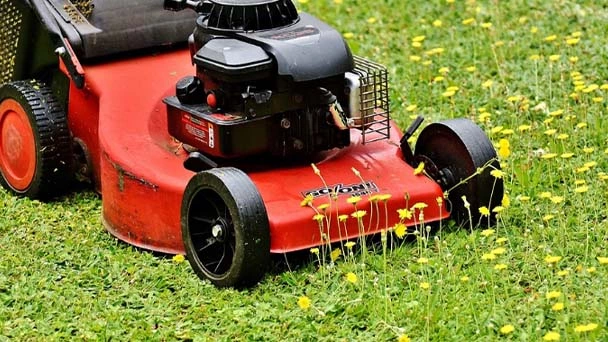 When is the Best Time to Mow My Lawn - Tips You Should Know