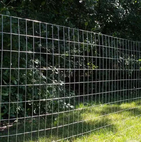 5. Wire Fences