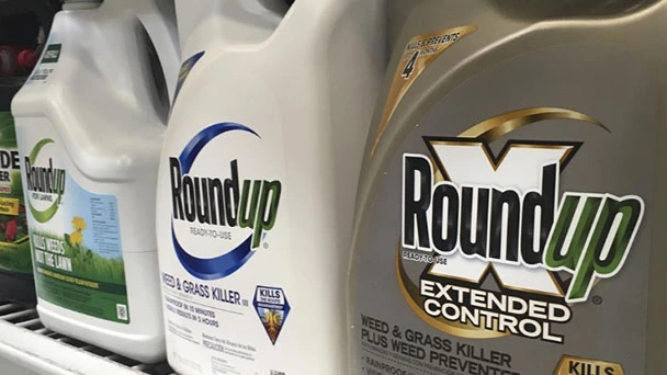 Roundup Weed Killer Review - Is It Safe to Use