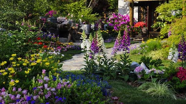 8 Simple & Proven Steps to Level a Yard In 2023