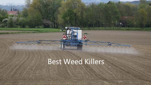 10 Best Weed Killer 2023 - Kill Different Types of Weed