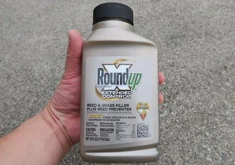 6. Roundup Concentrate Extended Control