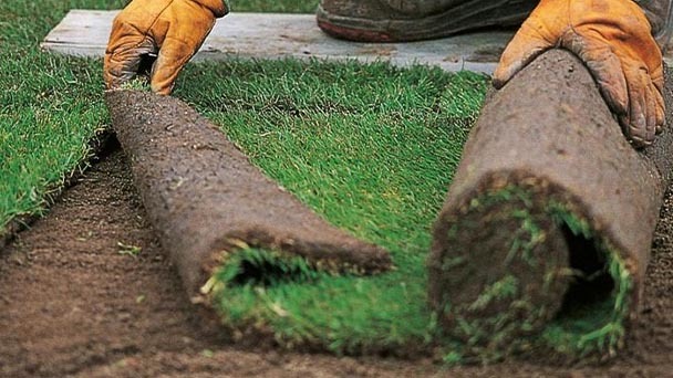 How To Lay Turf - Lawn Laying Guide 2023
