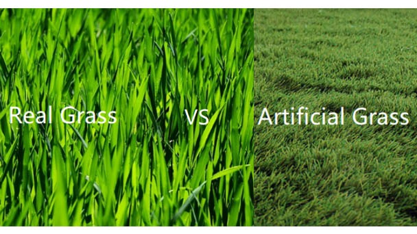 Real Grass vs Artificial Grass - Differences & How to Choose