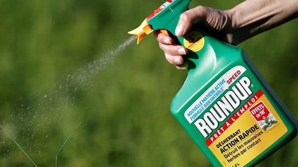 How Long Does It Take For Roundup To Dry - When Does It Work