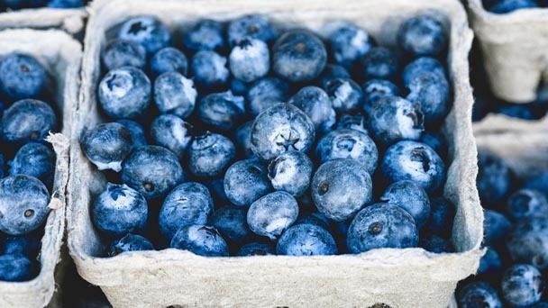 Do Blueberries Have Seeds - Something You Probably Didn't Know