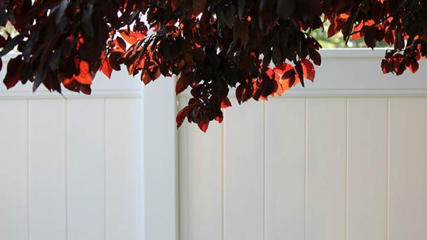Can Vinyl Fence Be Painted - How to Paint it Simply