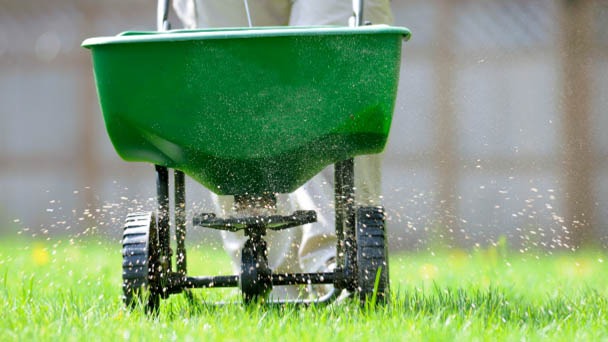 When to Fertilize New Sod - New Sod Care Guide