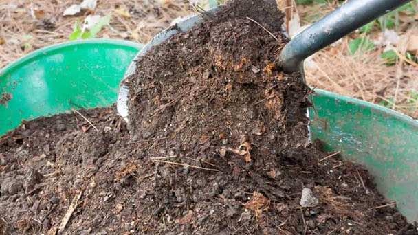 How Long Does It Take to Make Compost - How to Speed It Up