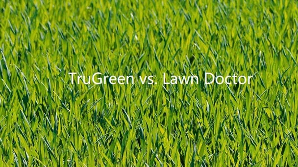 TruGreen vs. Lawn Doctor - How to Choose & Which is Better