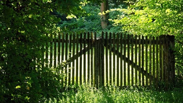 How Long Does Your Wood Fence Last - How to Maintain