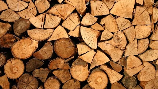 Is Ash Good for Firewood - Burning Ashwood Guide 2023