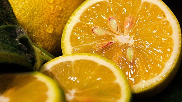 When Is the Right Time to Pick Lemons - Is There A Lemon Season