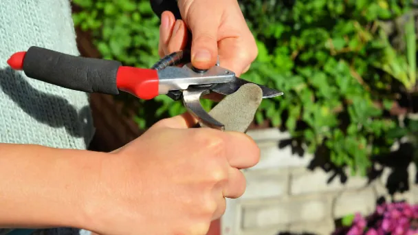 how-to-sharpen-pruning-loppers