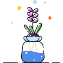 Hydroponic Plants
